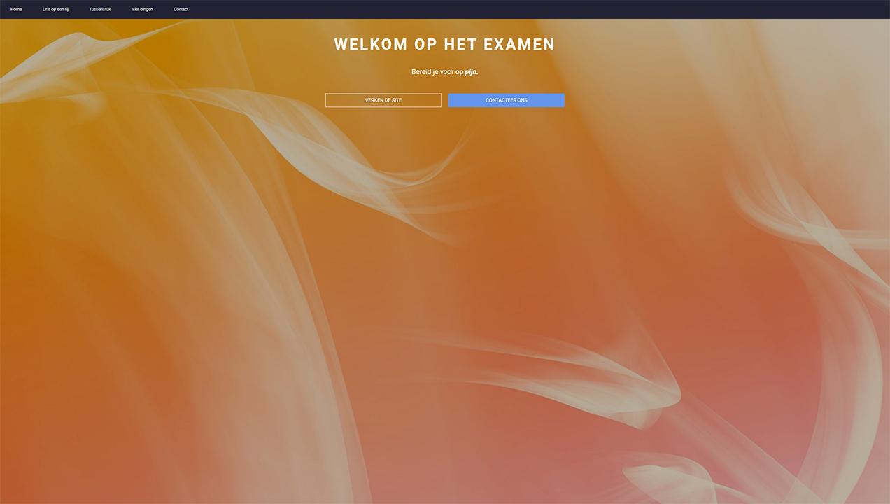 Exam project